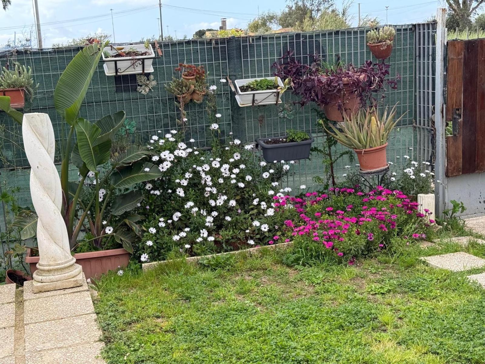 Flower House Civitavecchia Exterior foto